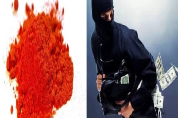 வடிவேலு படக்காட்சிகளை மிஞ்சும் கொள்ளை சம்பவம் - மிளகாய் பொடி தூவிவிட்டு எஸ்க்கேப்பான கொள்ளையர்கள்