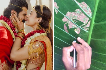 ராஷ்மிகா திருமண புகைப்படத்தை leaf art செய்த ரசிகர்! out put எப்படி இருக்குன்னு பாருங்க