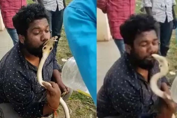 பாம்பிற்கு இளைஞர் கொடுத்த முத்தம்! உதட்டில் கடித்த வைரல் காட்சி