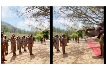 100 யானைகளை விரட்டியடித்த கலீம் யானைக்கு மரியாதை செலுத்திய காவலர்கள்.... - வைரல் வீடியோ...!