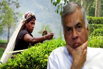 ஜனாதிபதிக்கு தோட்ட தொழிலாளர்கள் சார்பில் கோரிக்கை