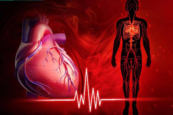 தினமும் காலையில் பப்பாளி சாப்பிடுபவர்கள் இதை கண்டிப்பாக தெரிந்திருக்க வேண்டும் | What Benefits You Get Eating Papaya Every Morning தினமும் காலையில் பப்பாளி சாப்பிடுபவர்கள் இதை கண்டிப்பாக தெரிந்திருக்க வேண்டும் | What Benefits You Get Eating Papaya Every Morning