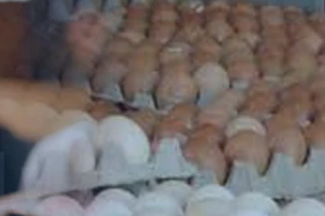 මේ විදියට බිත්තර අලෙවි කරනවනම් පරිස්සමෙන්...