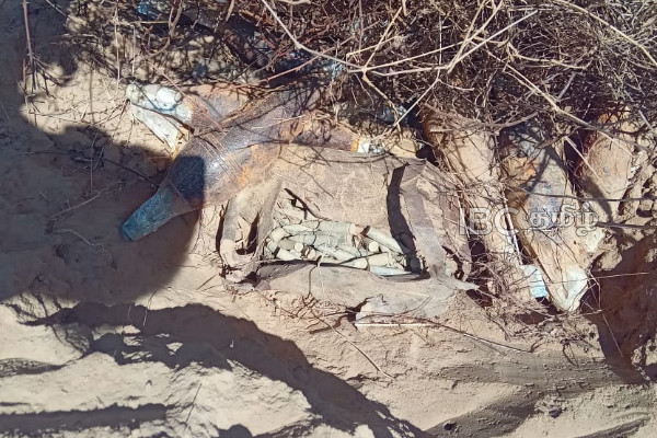 வவுணதீவில் வயல் நிலத்தில் மீட்கப்பட்ட வெடிபொருட்கள் அழிப்பு | Explosives Recovered From A Field In Vavunatheevu