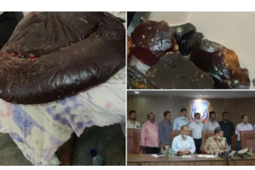 80 கோடி ரூபாய் மதிப்புள்ள திமிங்கல வாந்தி பறிமுதல் : சட்டத்திற்கு விரோதமாக செயல்பட்ட 5 பேர் அதிரடி கைது!