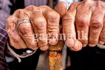 විශ්‍රාමිකයින්ට රජයෙන් සතුටු හිතෙන පණිවිඩයක්.