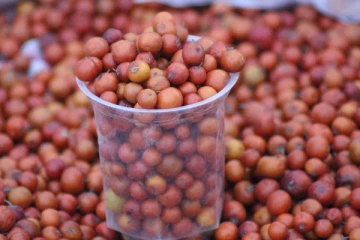 ஒரே ஒரு கைப்பிடி இலந்தைப் பழம் சாப்பிடுங்க… ஆயுசுக்கும் இந்த ஆபத்துக்கள் நெருங்காது?