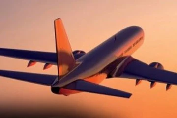 අවුරුදු 2 1/2ක කුඩා දරුවා දමා පලා ගිය කාන්තාව - ගුවන් මගියෙකුගෙන් පැමිණිල්ලක්