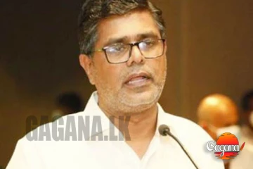 පාර්ලිමේන්තුව ඇතුලේ ඉන්න කපල් එක කවුද?