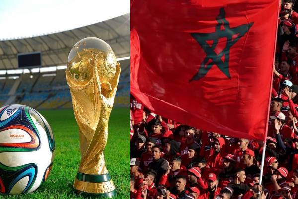 உலக கிண்ணத்திற்காக லட்சக்கணக்கான நாய்களை கொல்லும் நாடு | Morocco Massacred Dogs Ahead Of 2030 Fifa Worldcup