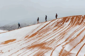 සහරා කාන්තාරයට දශකයකට පසු හිම වැටේ