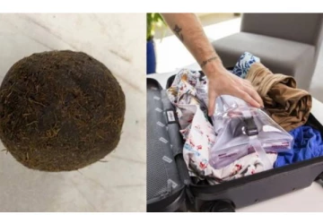 அமெரிக்க அதிகாரிகளை அதிர வைத்த இந்தியர் கொண்டு வந்த பார்சல்! உள்ளே என்ன இருந்தது தெரியுமா?