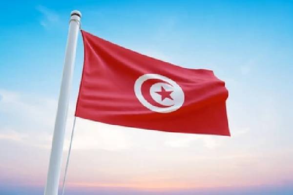 துனிசிய ஜனாதிபதியை விமர்சித்த எம்.பிக்கு சிறை! | Mp Jailed For Criticizing The President Tunisia