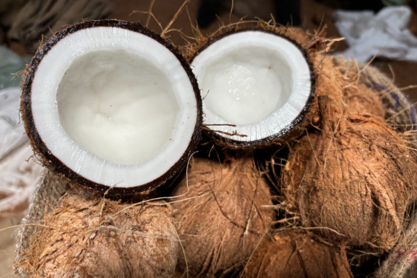தேங்காய் விலையில் ஏற்பட்டுள்ள திடீர் அதிகரிப்பு | Coconut Price Sri Lanka