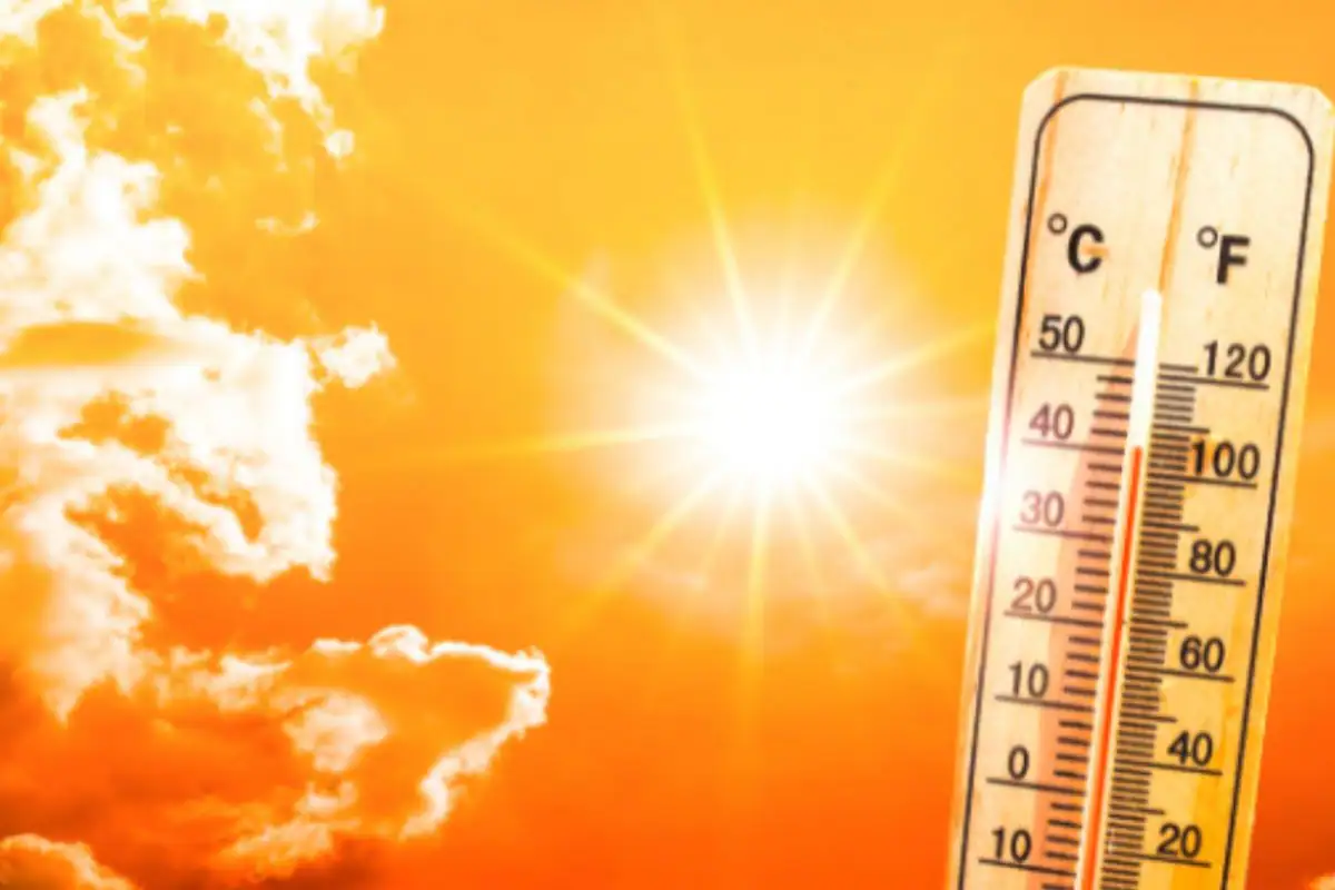 19 மாவட்டங்களில் கடும் வெப்பம்: 