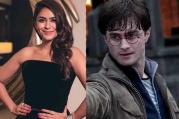 Harry Potter பட புகழ் நடிகர் Danielலை சந்தித்துள்ள நடிகை மிருணாள் தாகூர்- எங்கே தெரியுமா, போட்டோ இதோ