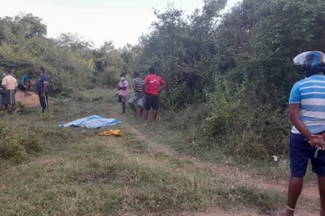 திருகோணமலையில் காட்டு யானை தாக்கி ஒருவர் பலி