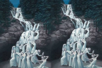 உங்களிடம் இருக்கும் நுண்ணறிவு ஆற்றலை கண்டுபிடிக்க Test: படத்தில் தெரிவது என்ன?