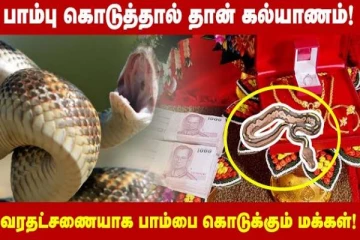 பாம்புகளை வரதட்சணையாக கொடுக்கும் பரம்பரையினர்!