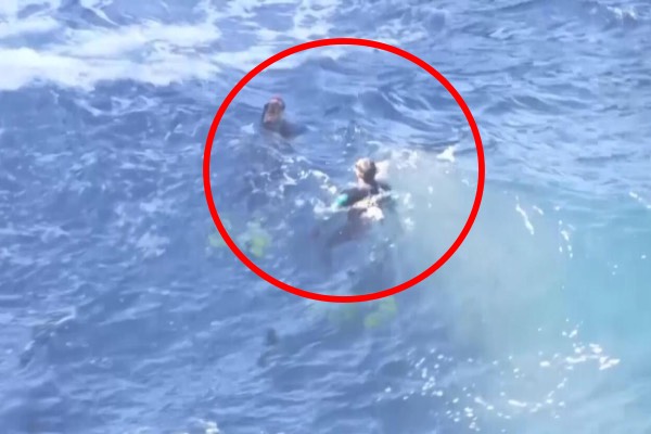 நீச்சல் வீரர்களை கடலுக்குள் இழுத்து சென்ற ராட்சத அலை: டெனெரிஃப் கடற்கரையில் பரபரப்பு | Swimmers Sweeps By Powerful Sea Wave In Tenerife நீச்சல் வீரர்களை கடலுக்குள் இழுத்து சென்ற ராட்சத அலை: டெனெரிஃப் கடற்கரையில் பரபரப்பு | Swimmers Sweeps By Powerful Sea Wave In Tenerife