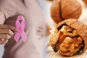 மார்பக புற்றுநோயிலிருந்து மீள வேண்டுமா? இப்போ கட்டாயம் இந்த உணவுகளை எடுத்துகோங்க