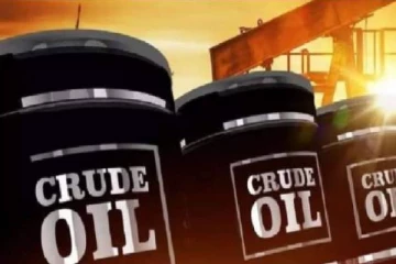 உலக சந்தையில் மசகு எண்ணெயின் விலை அதிகரிப்பு