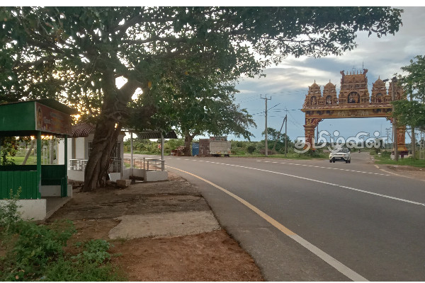 யாழ்.செம்மணிச் சந்தியில் இப்படியொரு செயற்பாடா.. மகிழ்ச்சியில் மக்கள்(Photos) | Yaazh Semmani Santhi