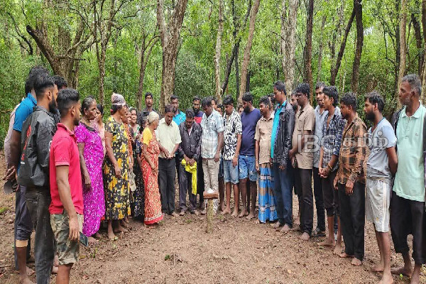 முல்லைத்தீவில் கோடாலிக் கல்லு மாவீரர் துயிலும் இல்ல சிரமதான பணிகள் ஆரம்பம் | Mullaitivu Maaveerer Commemoration முல்லைத்தீவில் கோடாலிக் கல்லு மாவீரர் துயிலும் இல்ல சிரமதான பணிகள் ஆரம்பம் | Mullaitivu Maaveerer Commemoration
