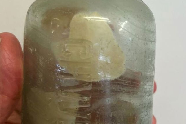 நூறாண்டுக்கு மேலாக புதைந்திருந்த போத்தலில் இருந்து கண்டுபிடிக்கப்பட்ட கடிதங்கள் | Letters Found In A Bottle Buried For Over Century நூறாண்டுக்கு மேலாக புதைந்திருந்த போத்தலில் இருந்து கண்டுபிடிக்கப்பட்ட கடிதங்கள் | Letters Found In A Bottle Buried For Over Century