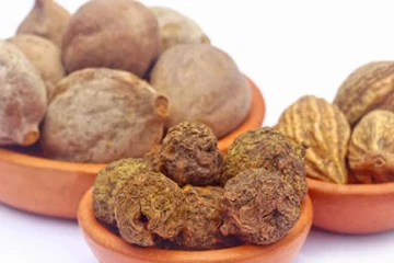 கடுக்காயில் இவ்வளவு மருத்துவ நன்மைகள் உள்ளதா?