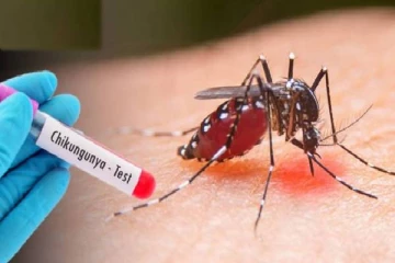 அச்சத்தை ஏற்படுத்தும் சிக்குன்குனியா ; விடுக்கப்பட்டுள்ள எச்சரிக்கை