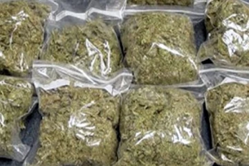 சுண்டிக்குளத்தில் பெரும் தொகை கேரள கஞ்சா