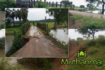 சம்மாந்துறை பாலம் உடைப்பெடுக்கும் அபாயம்! விவசாயிகள் விசனம்