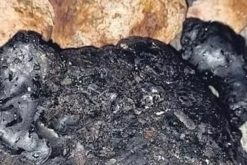 இலங்கையரின் பல கோடி ரூபா பெறுமதியான அம்பருக்கு நேர்ந்த கதி