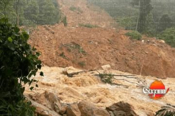 ඉන්දියානු ගලවාගැනීමේ කණ්ඩායමක් ලංකාවට