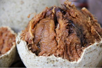 ஆண்கள் விளாம்பழம் சாப்பிடலாமா? இந்த தவறை மட்டும் செய்யாதீர்கள்! உயிருக்கு ஆபத்து...