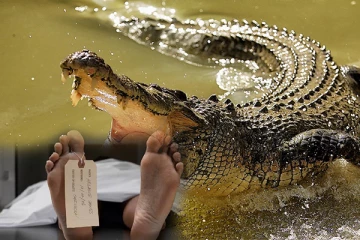 முதலையால் இழுத்து செல்லப்பட்டு பலியான பெண்