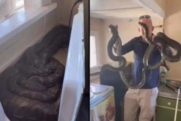 தானாக அசைந்த மைக்ரோவேவ்! பதறிய பெண்ணிற்கு கிடைத்த பேரதிர்ச்சி