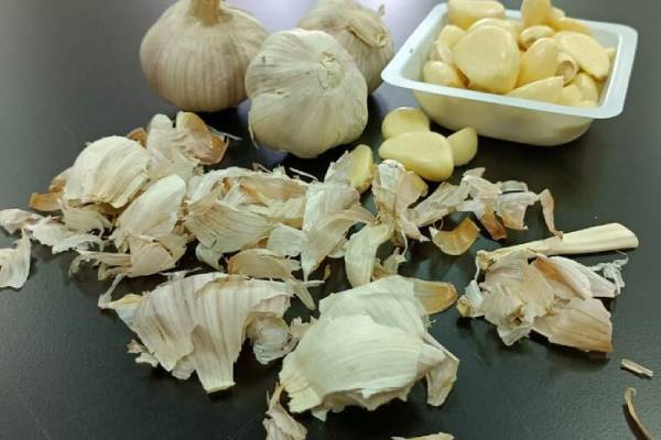 குப்பையில் போடும் பூண்டு தோலில் இவ்வளவு மகிமை இருக்கா? | Garlic Peel Benefits In Tamil Do Not Throw Garlic குப்பையில் போடும் பூண்டு தோலில் இவ்வளவு மகிமை இருக்கா? | Garlic Peel Benefits In Tamil Do Not Throw Garlic