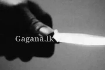 පිහියක් රැගෙන පොලිසියට අනින්න ගිය පුද්ගලයෙක්ට වැඩ වැරදෙයි - පොලිස් මුර කුටියේ විදුරුවලටත් පහර දීලා.