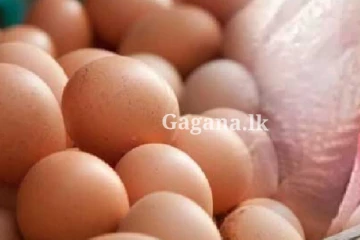 මිලට වුණ දෙයක්.. කුකුළු මස් කිලෝවකයි බිත්තරයකයි මිල ගණන් මෙන්න..