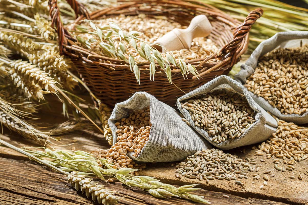 கல்லீரலில் கொழுப்பு பிரச்சனையா? இந்த உணவினை சாப்பிடாதீங்க | Foods You Can Avoid And Add To Prevent Fatty Liver