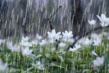 இன்றைய வானிலை அறிவிப்பு!