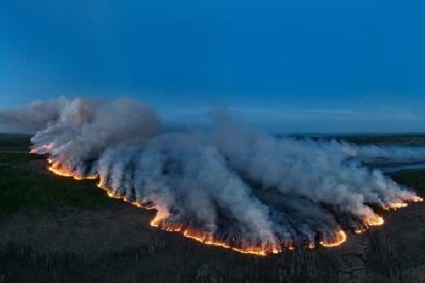 கனடாவில் காட்டுத் தீயினால் சிறுவனுக்கு நேர்ந்த விபரீதம் | B C Coroner Issues Safety Alert Over Wildfire