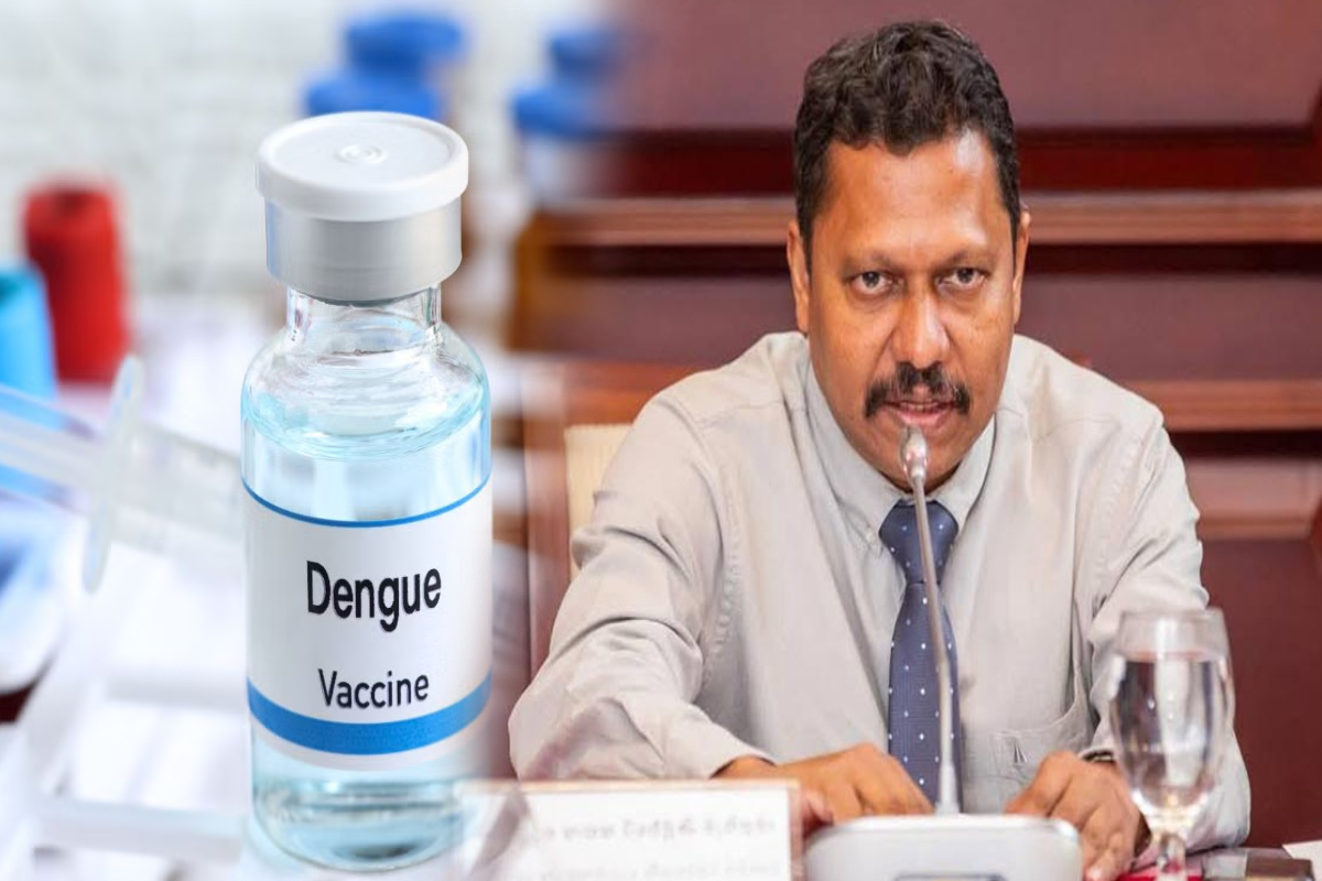 இலங்கையில் ஆபத்தாக மாறியுள்ள டெங்கு; தடுபூசி பெற கோரிக்கை! | Dengue Serious Threat In Sri Lanka Vaccinated
