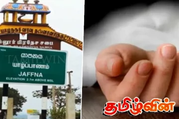 யாழில் பட்டம் ஏற்றி விளையாடிக் கொண்டிருந்த சிறுவனுக்கு நேர்ந்த கதி
