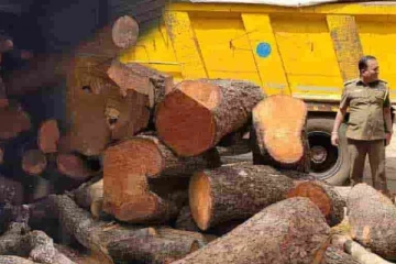 யாழில் சிறிய ரக லொறியில் சிக்கிய பல இலட்சம் பெறுமதியான பொருட்கள்