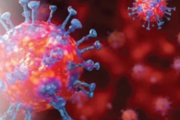 කොරෝනා නව උප ප්‍රභේදයක් පිළිබඳව අනතුරු ඇඟවීමක්..