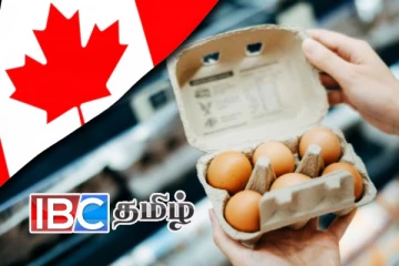 கனடாவில் முட்டை வாங்குவோருக்கு விடுக்கப்பட்ட எச்சரிக்கை!
