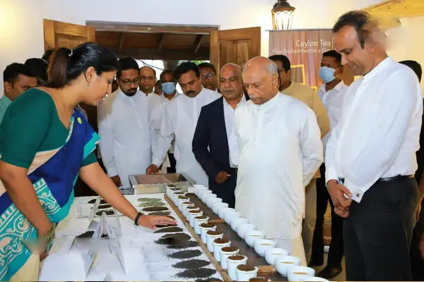 தேயிலை உற்பத்தி தொடர்பில் பிரதமர் வெளியிட்ட கருத்து! | Prime Minister S Comment On Tea Production
